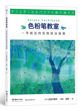 色粉笔教室 一学就会的实用技法指南 蜡笔色粉静物艺术绘画教程书籍