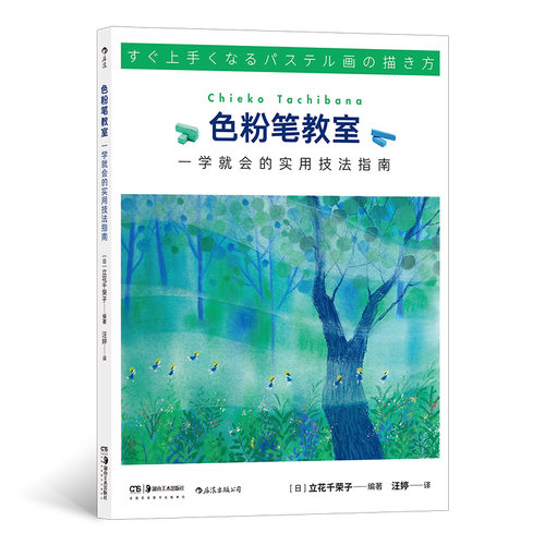 色粉笔教室 一学就会的实用技法指南 蜡笔色粉静物艺术绘画教程书籍