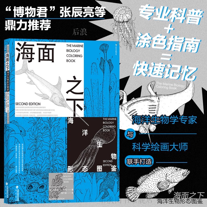 海面之下海洋生物形态图鉴经典