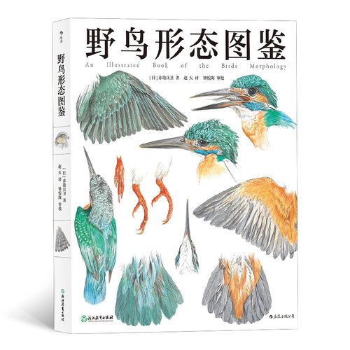 野鸟形态图鉴 鸟类图鉴野生动物自然观察博物学生物科普书籍 后浪官方正版