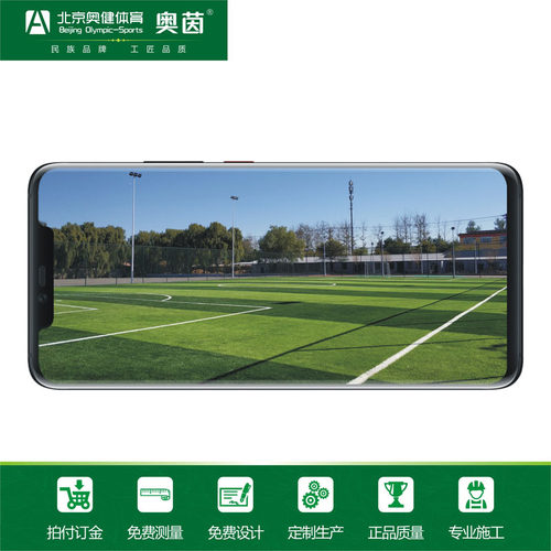人造草足球场奥茵人工草草坪