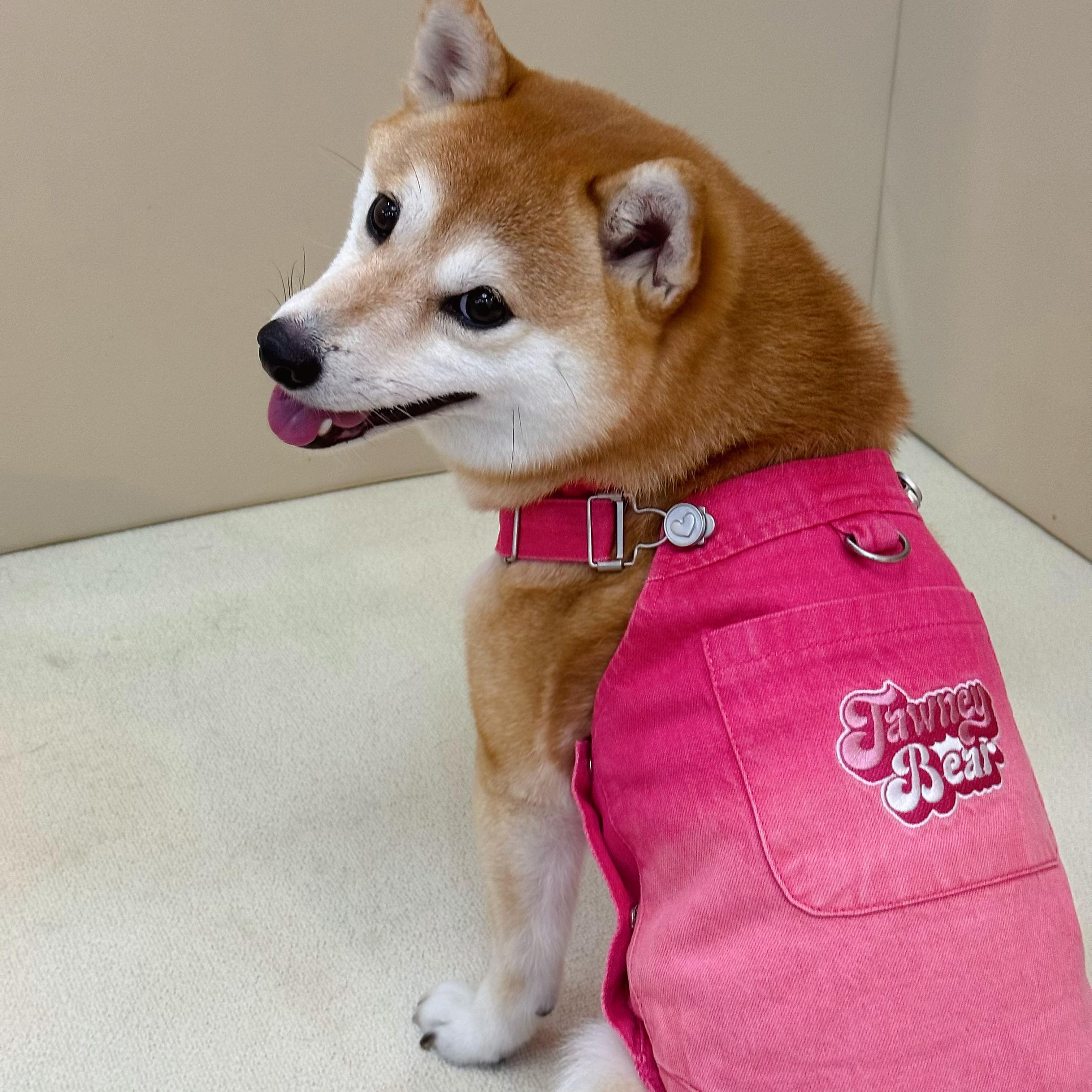 牛仔背带裙子雪纳瑞柴犬狗狗衣服
