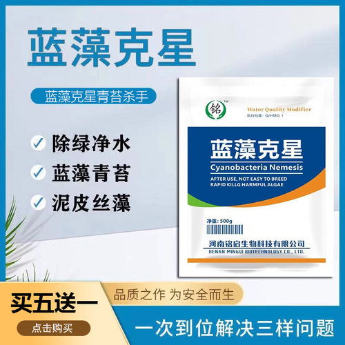 鱼塘蓝藻克星灭蓝藻净水青苔去除
