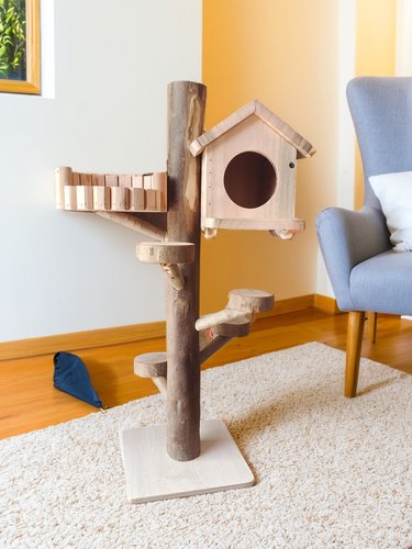 桉树枝跳台宠物 蜜袋鼯攀爬玩具密袋鼠小飞鼠用品豪华桉树桩DIY