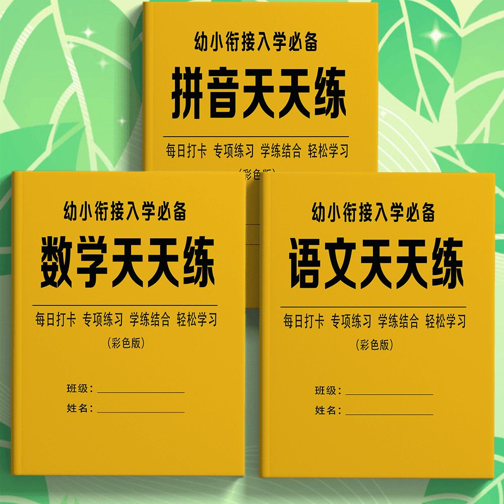 2025幼小衔接天天练数学语文拼音练习册幼儿园升一年级入学准备