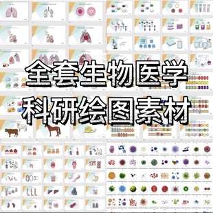 ppt科研绘图素材全套生物医学可编辑插图细胞流程图通路图模型