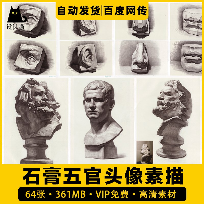 石膏头像素描高考艺考单独五官高清图片参考范画素材美术临摹教程