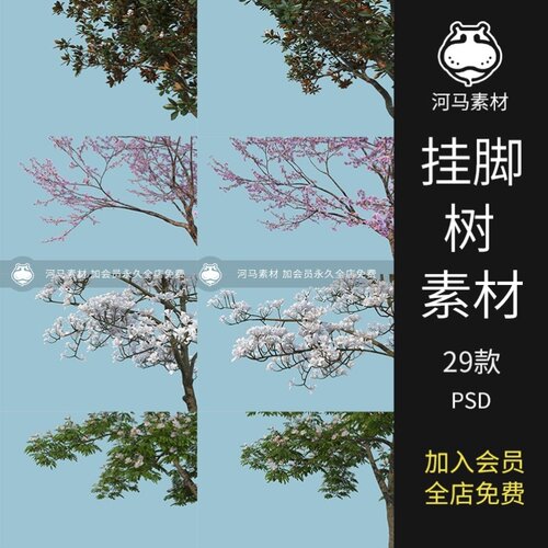 植物花挂角树挂枝前景树开花树枝PSD免扣素材景观前景图ps
