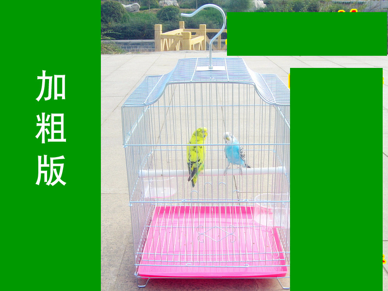 加粗不锈电镀钢丝鸟笼鹦鹉笼八哥笼画眉笼鹩哥笼相思鸟笼通用加固
