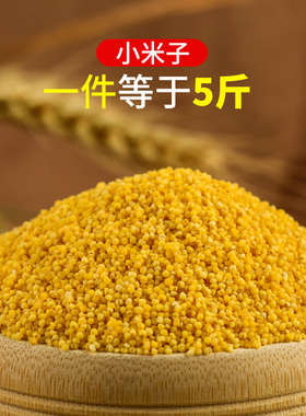 包邮无壳谷子小米子黄小米珍珠鸟虎皮鹦鹉鸟食鸟粮饲料蛋小米原料