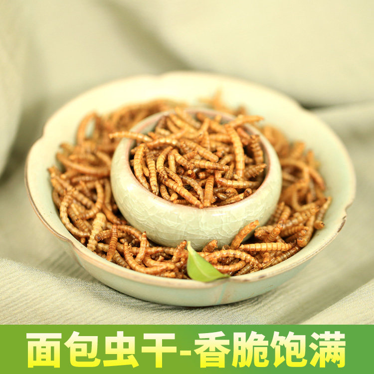 仓鼠粮食饲料面包虫干芦丁鸡用品黄粉虫干零食刺猬鱼乌龟鹦鹉鸟食,宠物/宠物食品及用品,鼠粮,淘宝优惠券,粉丝福利购,淘宝优惠卷