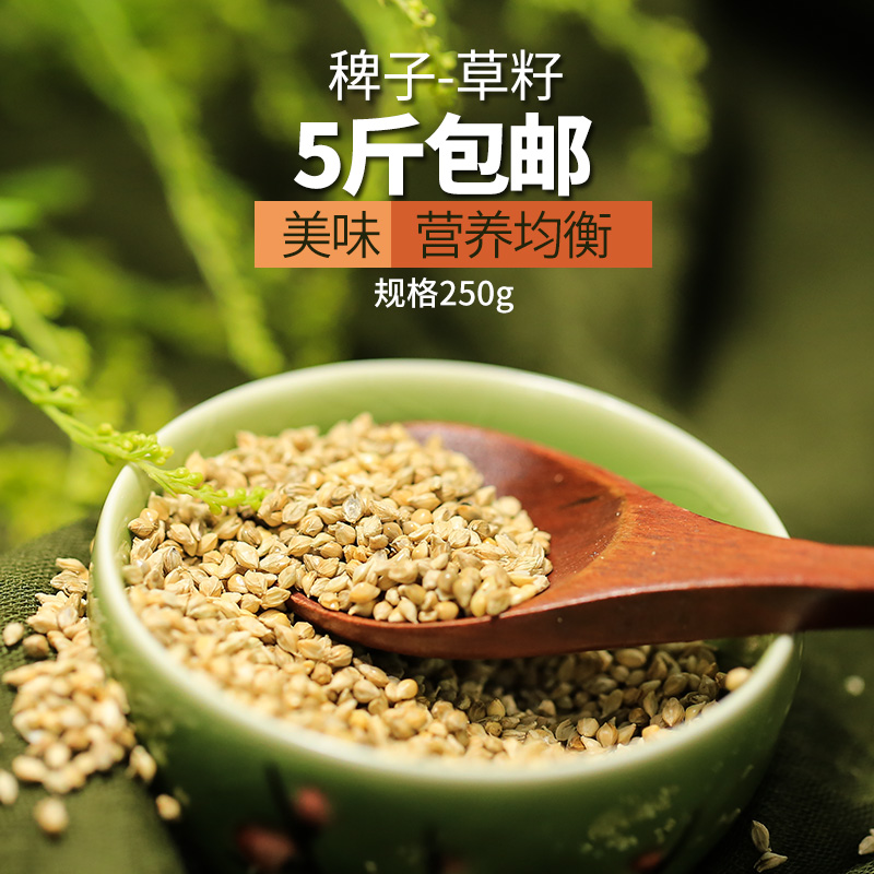 5斤包邮鸟食稗子草籽芙蓉鸟鹦鹉珍珠鸟文鸟/蛋白质高 250g-封面