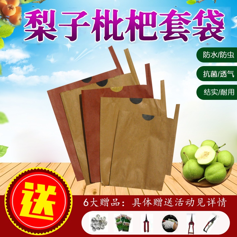 枇杷专用梨子芒果脐橙苹果桃果袋