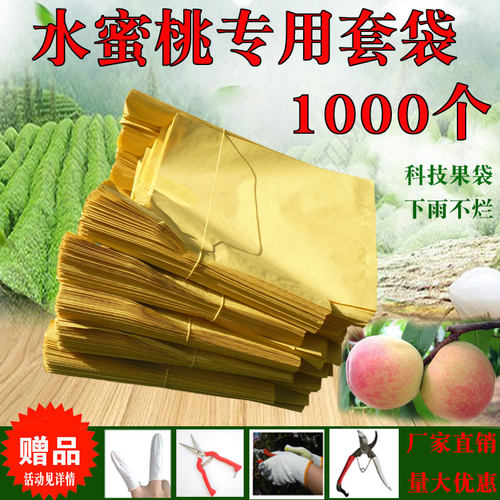 水蜜桃葡萄柚无花果李子水果套袋