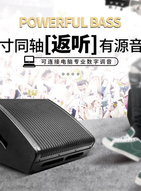 DIRTIS有源12寸返听监听