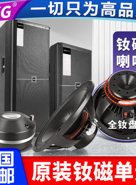 专业单双15寸演出被动钕