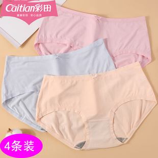 彩田内裤 头 女中低腰36172莫代尔棉抑菌石墨烯裆柔软平角短贴身裤