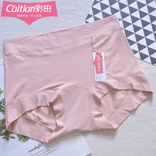 彩田莫代尔纯色女内裤 小平角 15860加长底裆宽边石墨烯7A抑菌大码