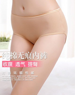棉质底裤樱子提臀女士高腰舒适
