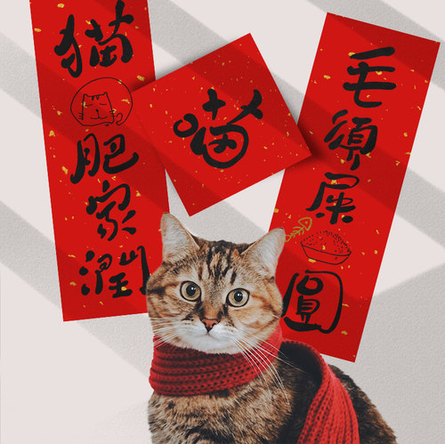 宠物迷你个性定制狗笼子猫肥家润