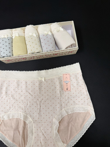 2026新款内裤女秋冬新品磨毛质感波点少女纯棉抗菌裆中腰三角裤头