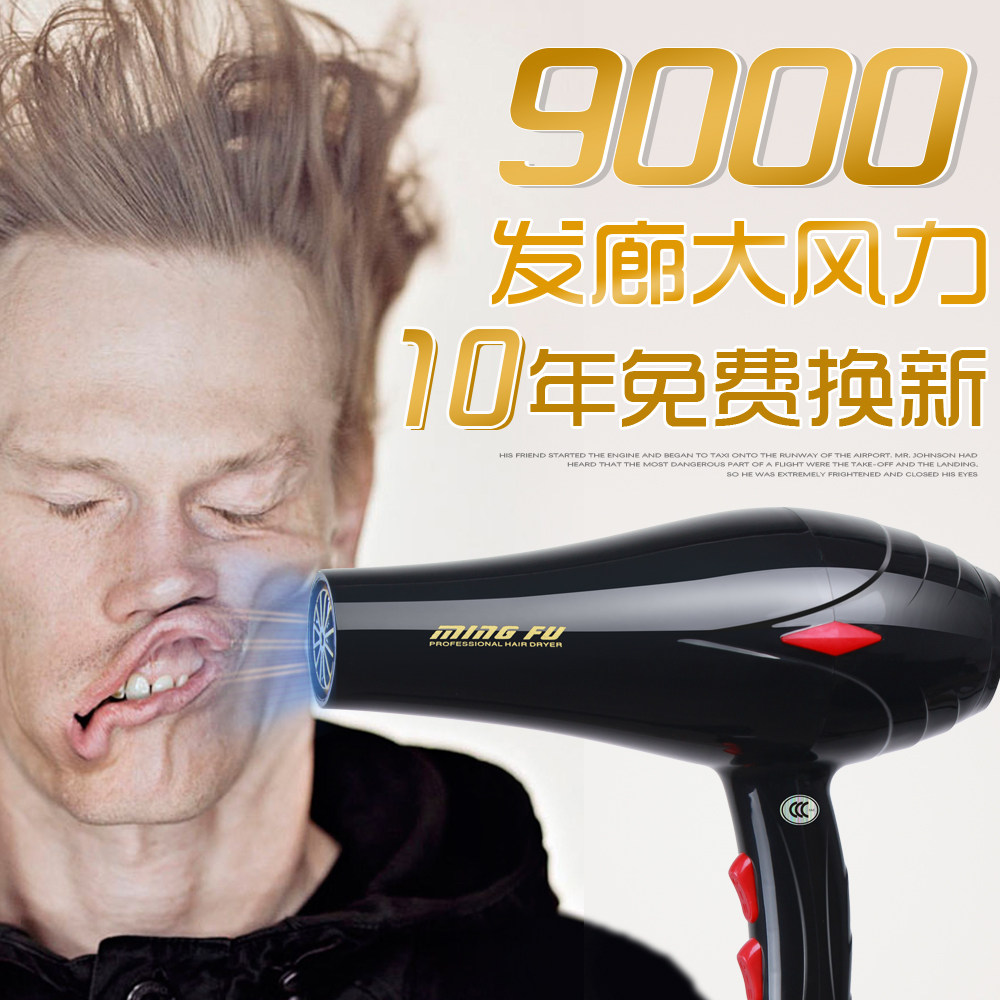 电吹风机家用发廊用大风力大功率