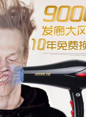 电吹风机家用发廊用大风力大功率