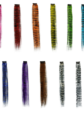 假发接发片长直彩色条纹豹纹卡子挂耳染 Clip-in Hair Extensions