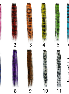 假发接发片彩色羽纹豹纹条纹卡子挂耳染 Clip-in Hair Extensions