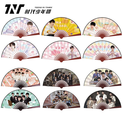 TNT时代少年团盒装10寸绢布竹扇