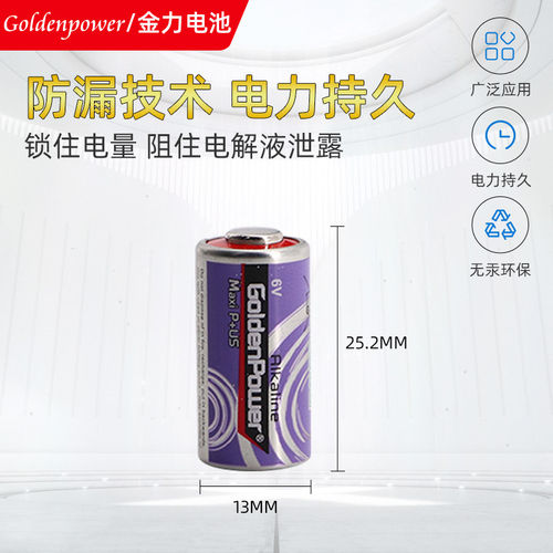 goldenpowerPX28G干电池2粒