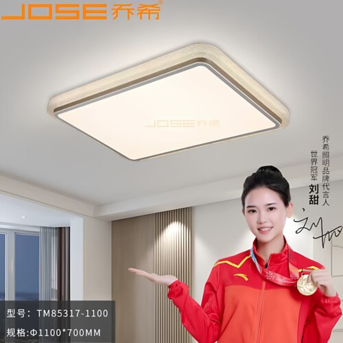 JOSE乔希客厅吸顶灯LED主灯