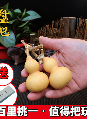 天然手捻小葫芦精品文玩特小葫芦手把件周正带龙头草里金把玩葫芦