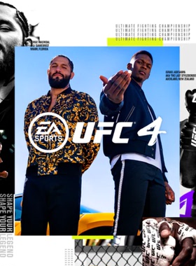 认证/不认证 中文 PS4/PS5游戏 UFC4 终极格斗冠军赛  数字下载版