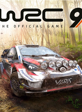 可/非认证 PS5/PS4游戏 中文 世界汽车拉力锦标赛 WRC9  数字下载