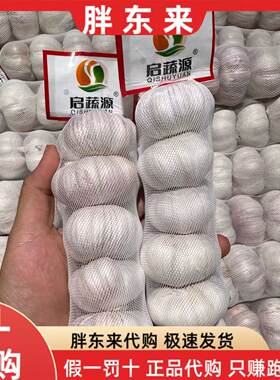 胖东来蔬菜 大蒜头袋蒜新鲜干蒜 240g袋/5个 安心蔬菜正品代购