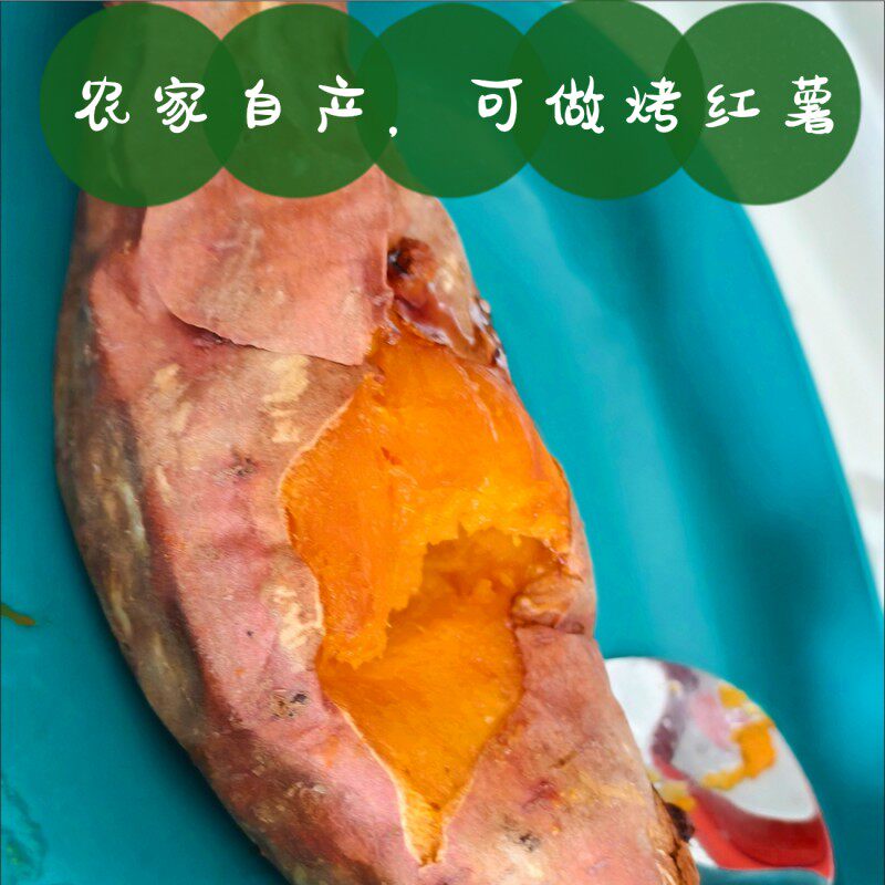 北京平谷新鲜红薯 黄心红薯 黄壤红薯 甜红薯 生红薯 5斤包邮
