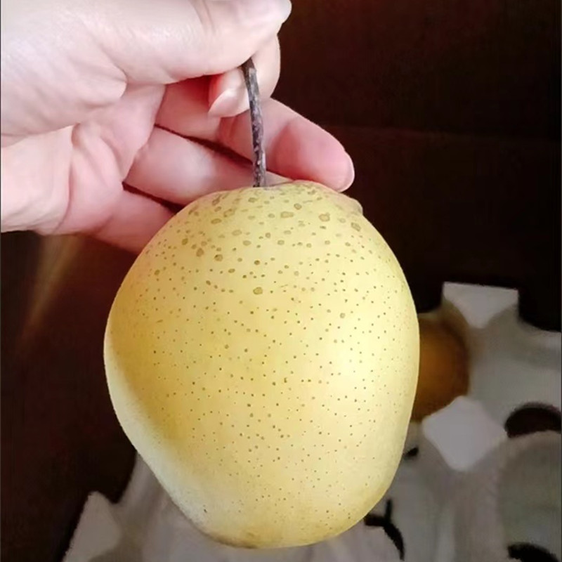 北京平谷农家自产水晶多汁雪梨