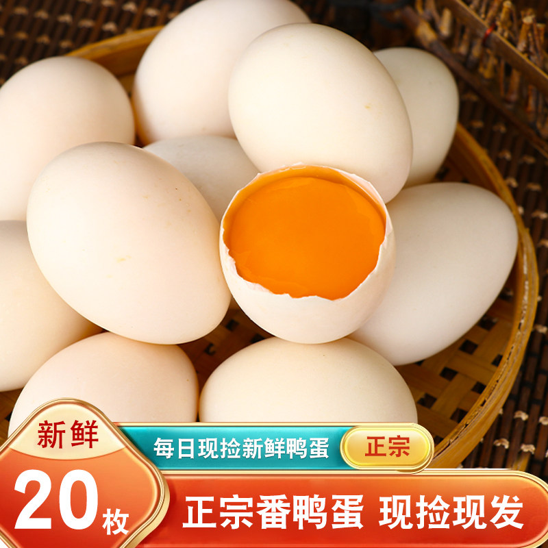 新鲜农家散养番鸭蛋孕妇可食生蛋非洲正宗红嘴鸭蛋受精蛋顺丰包邮