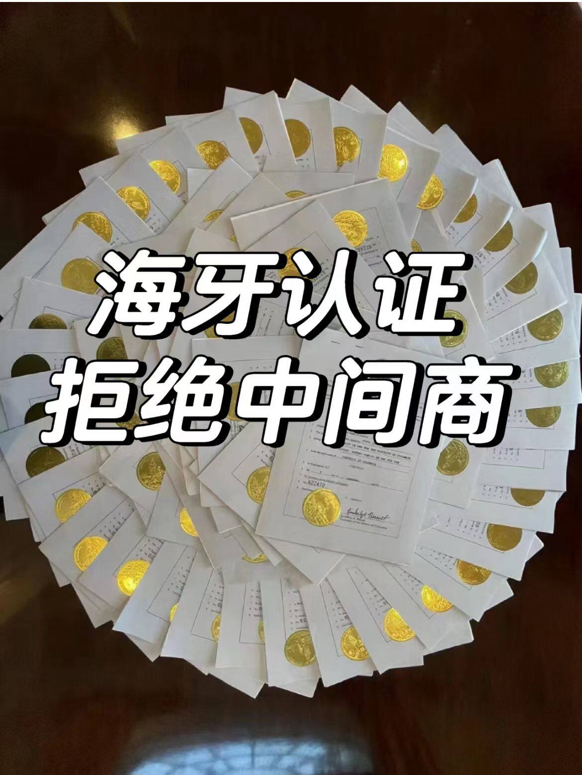 海牙认证 - 实物图