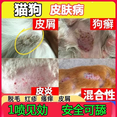 杜宾犬皮肤病狗癣专用药真菌感染毛狗狗身上长疙瘩喷剂藓脓皮症痒