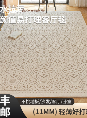 客厅轻奢2024新款地毯茶几垫沙发毯防水抗污免洗可擦拭中古高级感