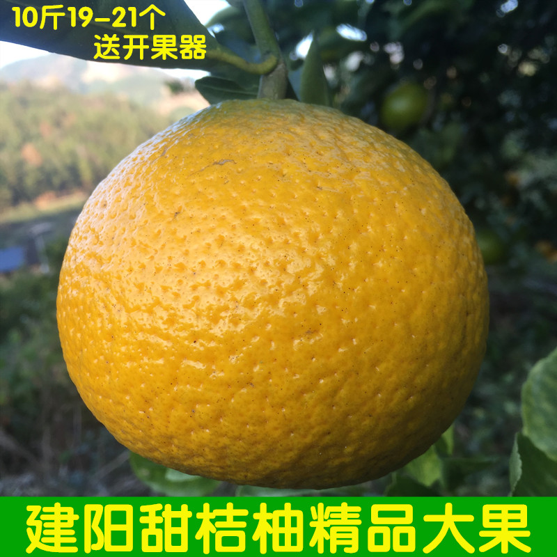 建阳甜桔柚橘柚大果礼盒装