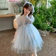 女童爱莎公主裙冬装 2026新款 生日裙子儿童冰雪奇缘女孩艾莎连衣裙