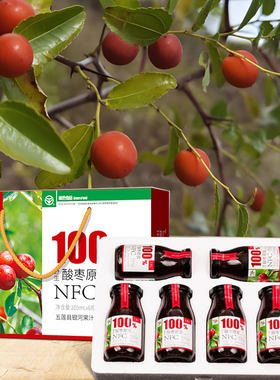 山东千翠汇NFC酸枣汁原浆