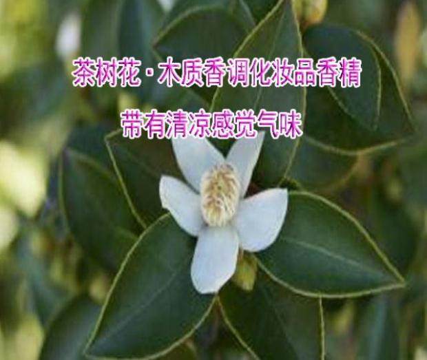 茶树面膜精油身体乳加香剂