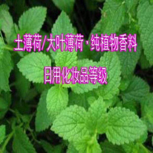 纯大叶薄荷香精驱蚊止痒原料香料