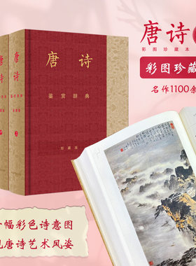 唐诗鉴赏辞典唐代古诗文赏析
