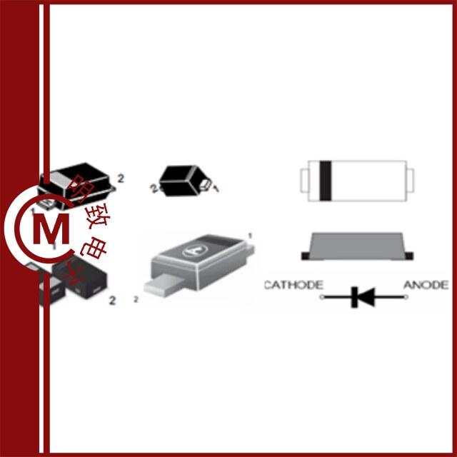 SM3100A/SM3100AF/SM3100B