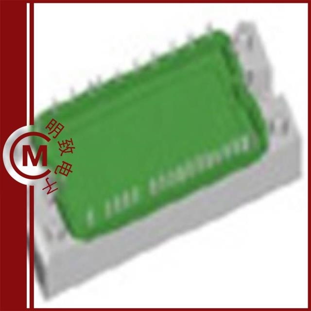 MWI300-17E9 MWI30-06A7T MWI30-06A7